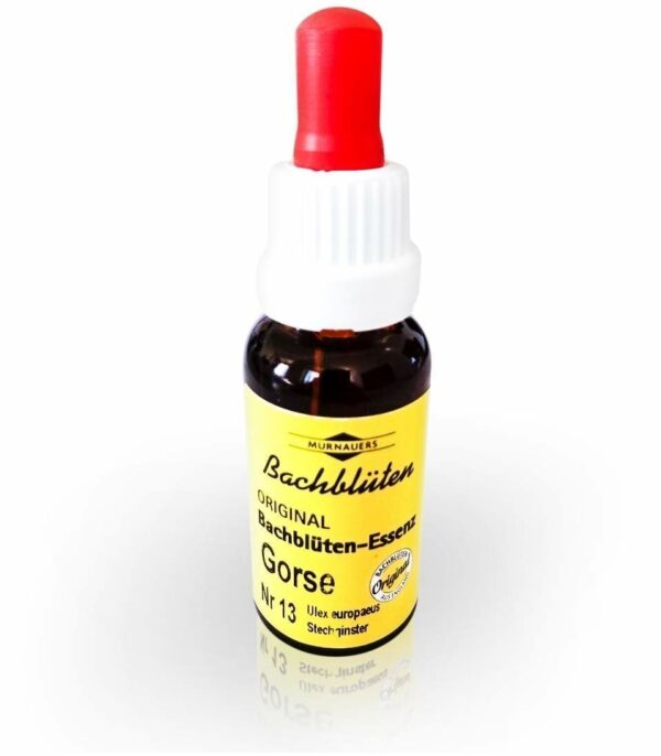 Bachblüten Murnauer Gorse 20 ml Tropfen