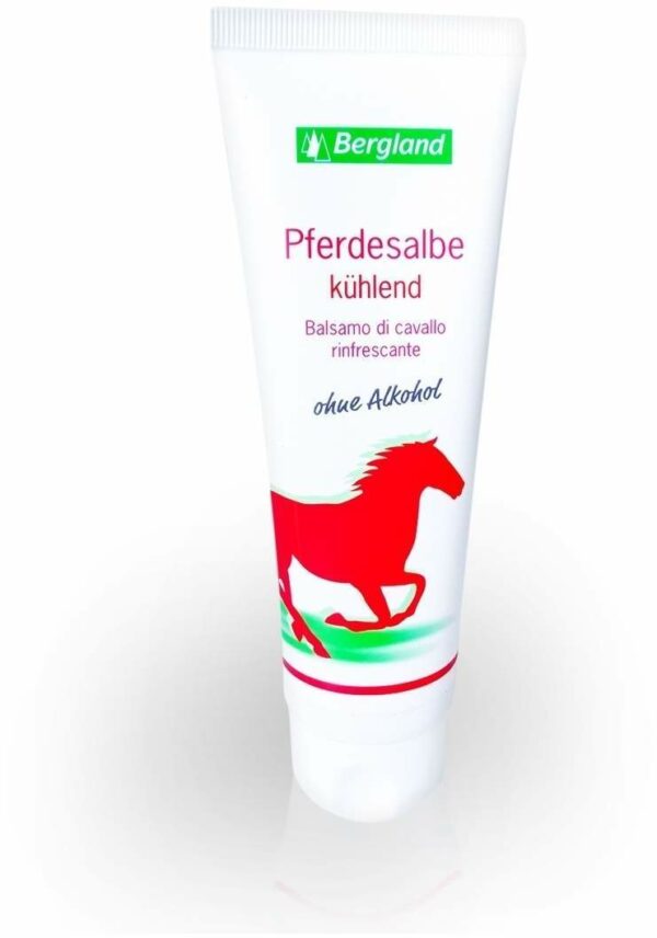 Pferdesalbe Kühlend 100 ml