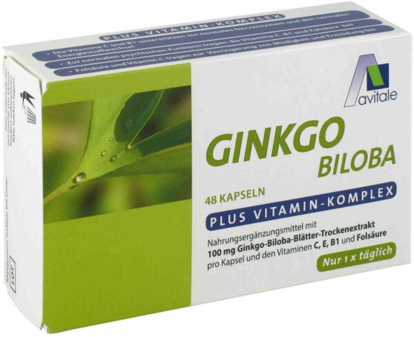 Ginkgo 100 mg Kapseln + B1