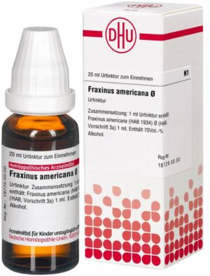 Fraxinus Americana Urtinktur 20 ml