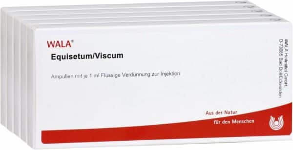 Equisetum Viscum Ampullen 50 X 1 ml