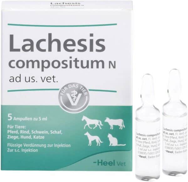 Lachesis Compositum N vet. 5 Ampullen