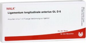 Ligamentum Longitudinale Anterius Gl D 6 Ampullen