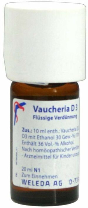 Vaucheria D 3 Dilution